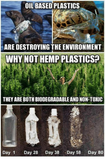 oil-based-plastics-are-destroying-the-environment-why-not-hemp-12492724